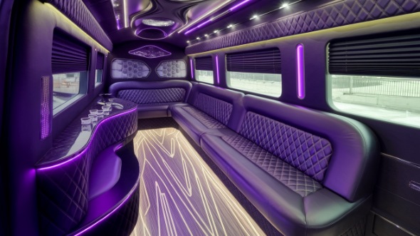 elgin party bus rental inside
